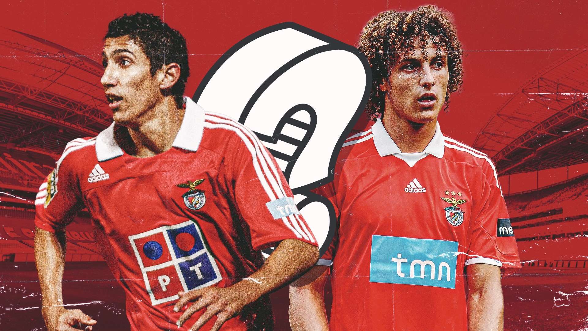 经在一些国 经在一些国